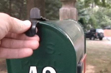 Hand opening green mailbox, revealing a small kitten.
