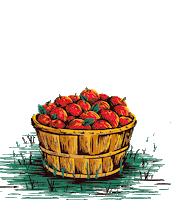 Canasta Manzanas Sticker by Cerveza Patagonia