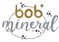 Bob Sticker by Babies On Board