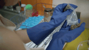 broadcity season 2 episode 3 broad city wisdom teeth GIF