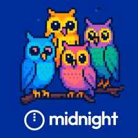 midnightnetwork crypto blockchain midnight privacy GIF