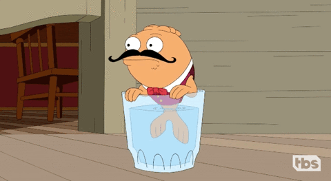 GIF by American Dad
