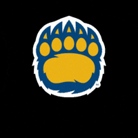 Golden Bear GIF by WVU Tech Golden Bears