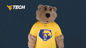 West Virginia Yes GIF by WVU Tech Golden Bears