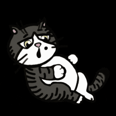 irene_hsyu giphygifmaker giphygifmakermobile cat full GIF