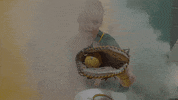 Softball Bison GIF by NDSU Athletics