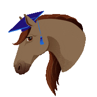 Sso Sticker by Star Stable
