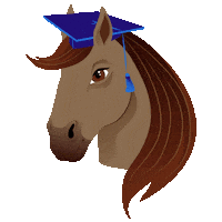 Sso Sticker by Star Stable