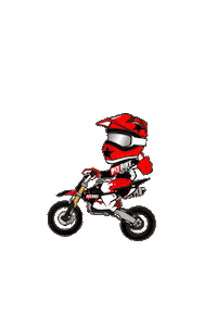 Motorcycle Champion Sticker by PITBIKE_PL