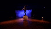 GIF by MagdaClan circo