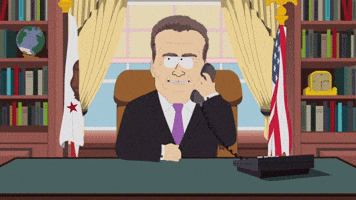 California Cannot Afford