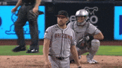 Arizona Diamondbacks Sport GIF by MLB
