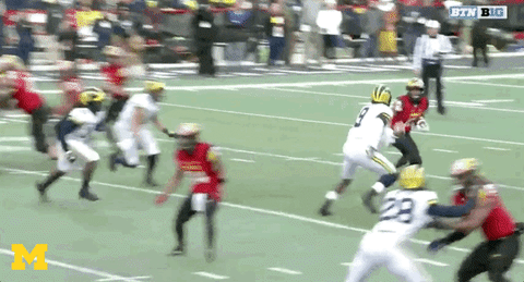 Michigan Football Touchdown GIF by Michigan Athletics