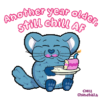 Happy Birthday Eating Sticker by VeeFriends