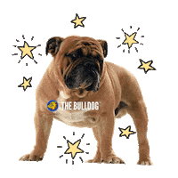 Weed Bar Sticker by The Bulldog Amsterdam