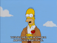 scared homer simpson GIF