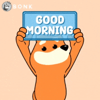 Good Morning Gm GIF by BONK
