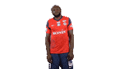 Goal Chateauroux Sticker by La Berrichonne de Châteauroux
