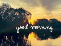 Film Photography GIF by GT8Studios
