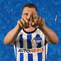 Bundesliga Var GIF by Hertha BSC