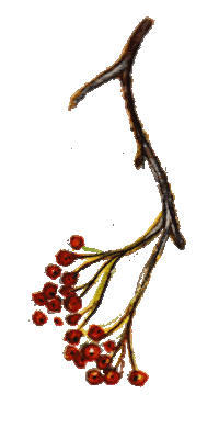 christina_toth nature fall painting october Sticker