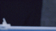hair flip GIF