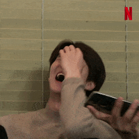 Netflix Bustednetflix GIF by Busted!