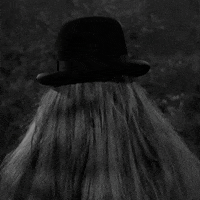 the addams family vintage horror GIF by absurdnoise
