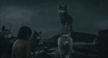 jon favreau disney GIF by Disney's The Jungle Book