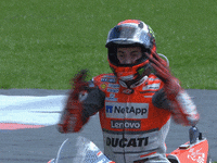 winning jorge lorenzo GIF by MotoGP