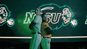 Ndsu Softball GIF by NDSU Athletics