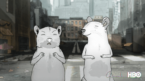 season 3 party GIF by Animals