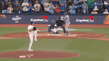 Blue Jays Baseball GIF by Toronto Blue Jays