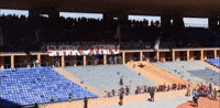 Ultrasshark07 GIF