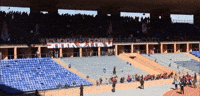 Ultrasshark07 GIF