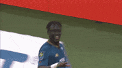GIF by Ligue 1