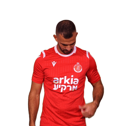 HapoelTelAviv giphyupload hta yallahapoel יאללההפועל Sticker