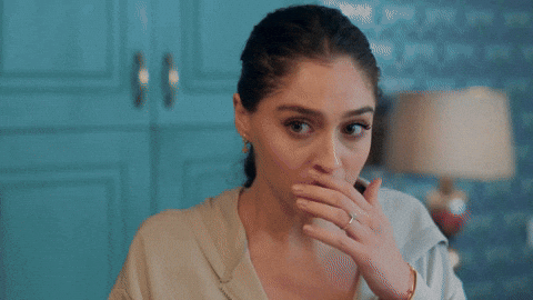 Ela Leyla GIF by Ay Yapım