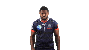 Super Rugby Sticker by melbournerebels