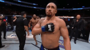 ufc 213 GIF