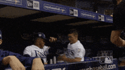 adames GIF by MLB