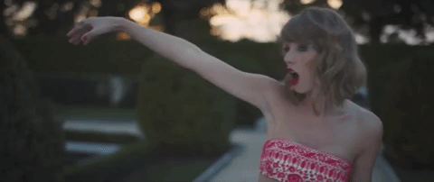 Blank Space Music Video GIF by Taylor Swift