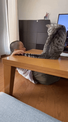 cuteanimalland giphyupload GIF