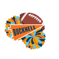 Football Celebrate Sticker by Bucknell University
