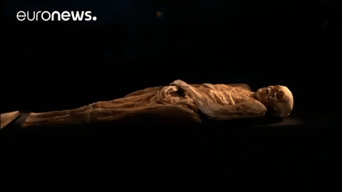 Mummy GIF by euronews