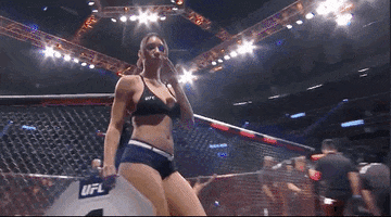 Mixed Martial Arts Sport GIF by UFC
