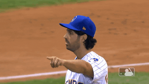 Major League Baseball Sport GIF by MLB