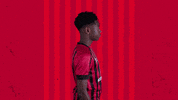 Football Celebrating GIF by AFC Bournemouth