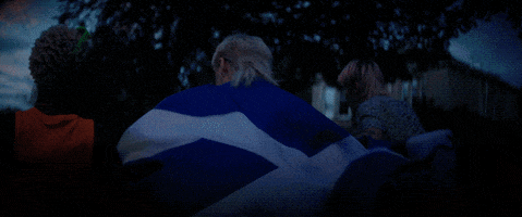 Flag Scotland GIF by Garbage