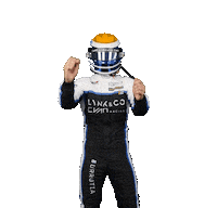 Fast Car Racing Sticker by FIA World Touring Car Cup